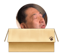527426492