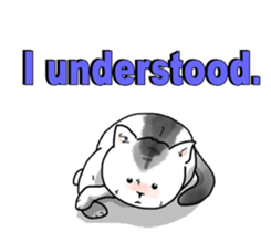 5274500