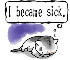 5274506