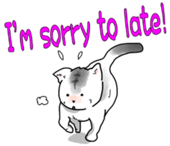 5274509