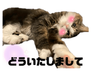 527481350