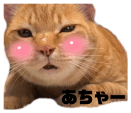 527481352