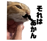 527481353