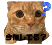 527481358
