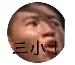 527491080