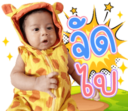 527500855