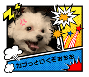 527517138