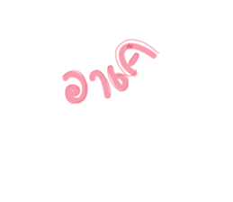 527533704