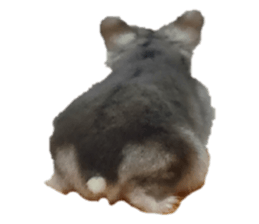 527533791