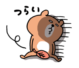 527533888