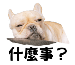 527534850
