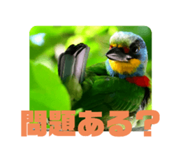 527555452