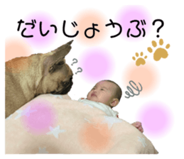 527556720