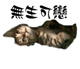 527557830