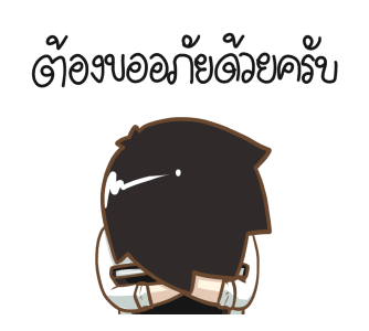 ลายที่ 13