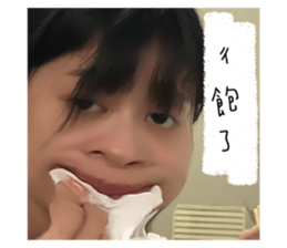 527559436
