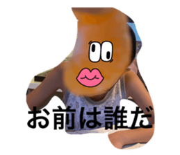527561997