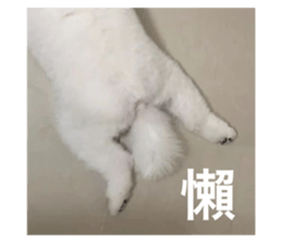 527565807