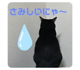 527570149
