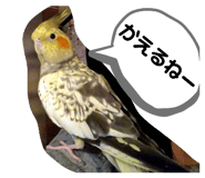 527570944