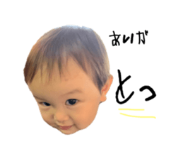 527576023