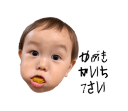 527576028