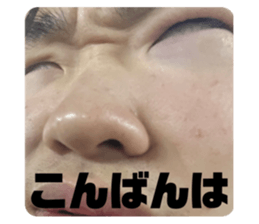 527576256