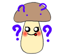 527582357