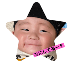 527633011