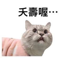 527633364