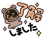 527636074