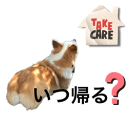 527637319