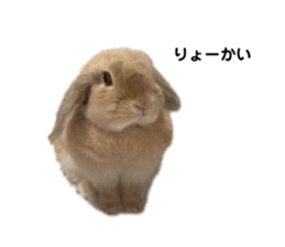 527639796