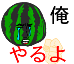 5276491