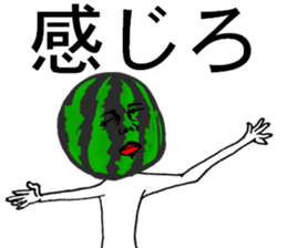 5276493