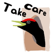 527664492