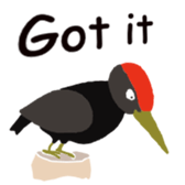 527664493