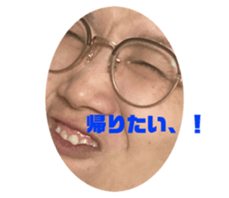 527665174