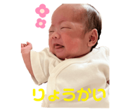 527756772