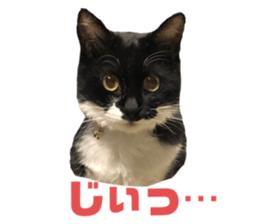 527772728
