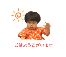 527772994