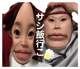 527790498