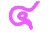 527803441