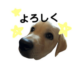 527810058