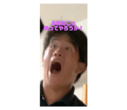527812113