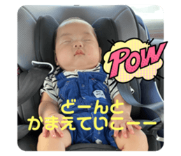 527813388