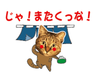 527819505