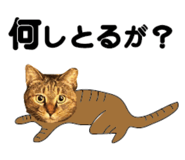 527819519