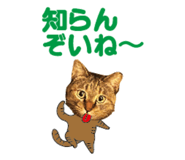 527819526