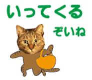 527819529